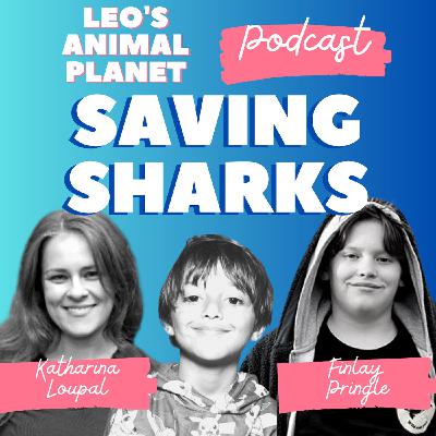 Saving Sharks with Finlay Pringle and Stop Finning EU