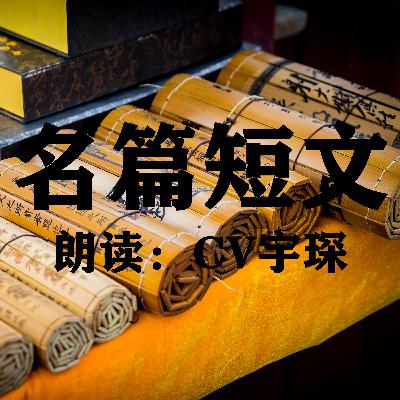 不是茶——林清玄