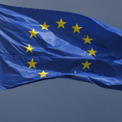 Europa zonder de VS: ‘Een geopolitieke haai zullen we nooit worden’ Europa zonder de VS: ‘Een geopolitieke haai zullen we nooit worden’