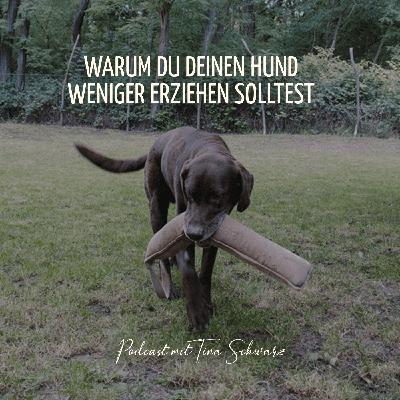 Warum du deinen Hund weniger erziehen solltest Warum du deinen Hund weniger erziehen solltest
