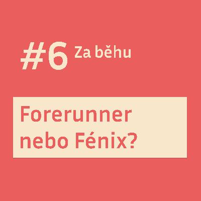 #6 Narozeninové dilema: Forerunner nebo Fénix?