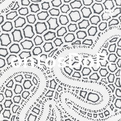 ContosDoPai (Trailer)