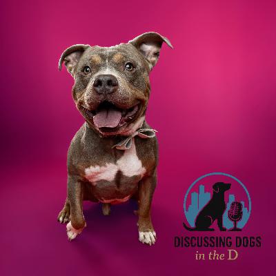 Nicole Biehl - Friends of DACC