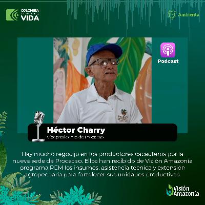 Beneficios para los cacaoteros - Héctor Charry