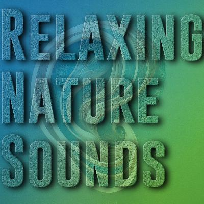 (Field Recordings) 2025-10-03 Zemun, Serbia "Night Rain Ambience - Unfiltered Flow"