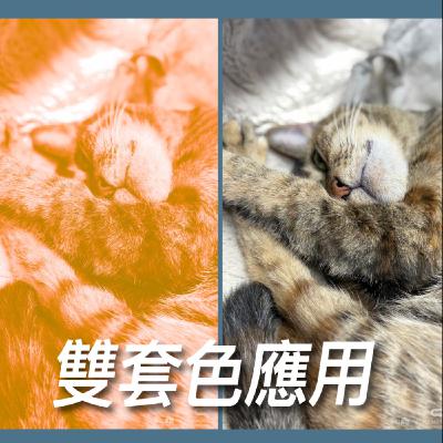 雙套色應用【如何管理色】No.18