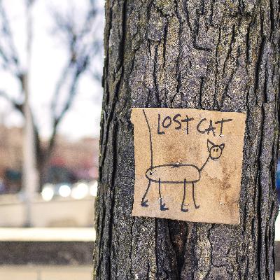 lost. Even to ourselves. Until we expire.