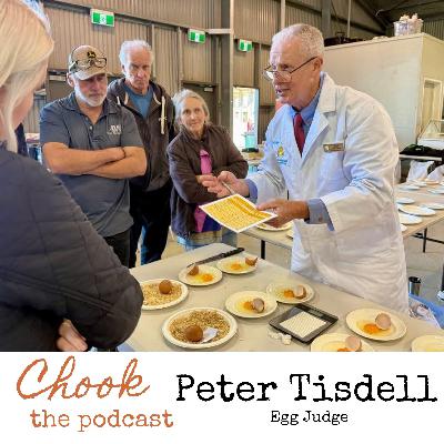 Peter Tisdell Egg Judge