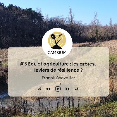 #15 - Eau et agriculture : les arbres, leviers de résilience ?