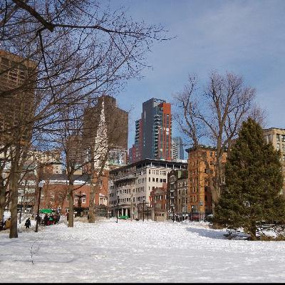 15. Accidentally in Boston (with a touch of Paris)