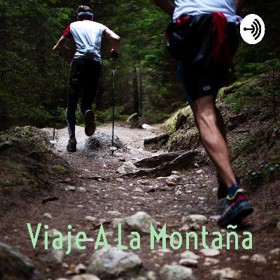 Viaje a la montaña - Reconexiones con Sentidos