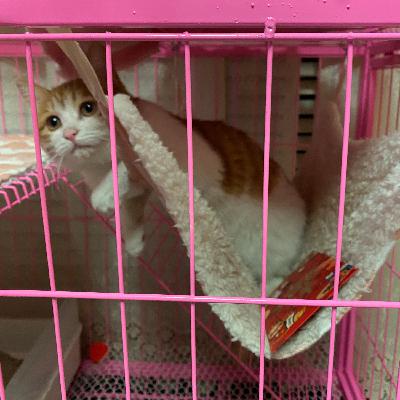 Vol.9 店名差异，OCBD，多陪家人