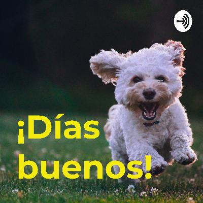¡Emprende el vuelo!