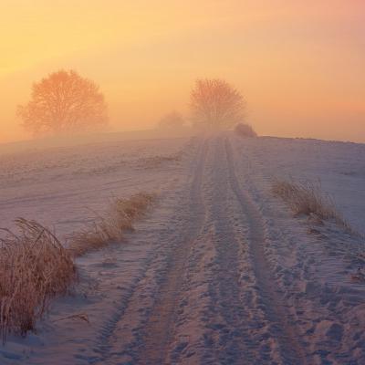 Adventkalender #21 Gustav Schörghofer