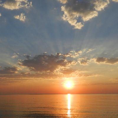 एक नई शुरुआत .A NEW RISE. INTRODUCTION TO WINE & POETRY WITH ONKAR GURJAL.