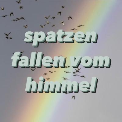 TEIL 2 ☆ Spatzen fallen vom Himmel