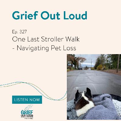 One Last Stroller Walk - Navigating Pet Loss