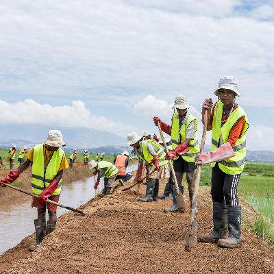 How advancing social justice can shape the future of work