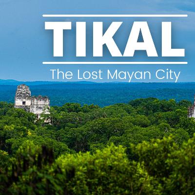 9. The Cost of Adventure | Road to Tikal 2023