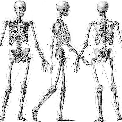 HTM003: Diets and Dieting