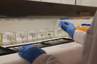 REPORTATGE. Barcelona presenta un pla per a l'alzheimer i altres demències