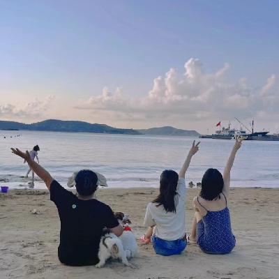 沉浸式旅行海岛游：此船票通往专属于你的最美风景！