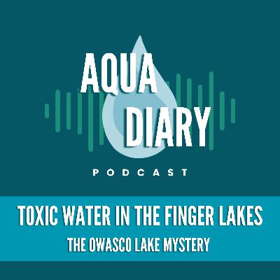Toxic Water in the Finger Lakes: The Owasco Lake Mystery Toxic Water in the Finger Lakes: The Owasco Lake Mystery