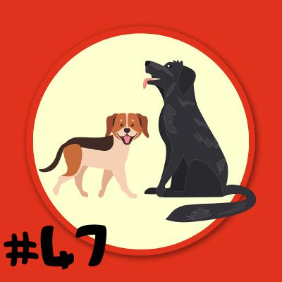 Folge 47 - Bernd Schäferhund und Trixie Dackel - Genau das machen wir!
