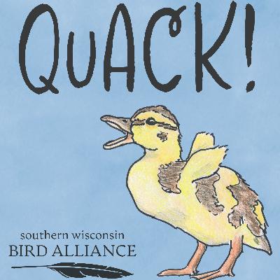 Bats with Jennifer Redell Part 2