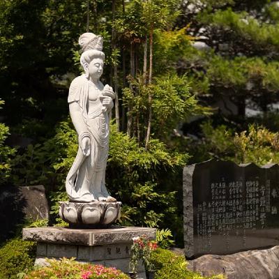 宗教ってなんなのさ