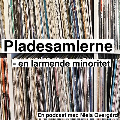 Pladesamlerne - en larmende minoritet vol. 14 Carsten "Dusty Wax" Reinholdt