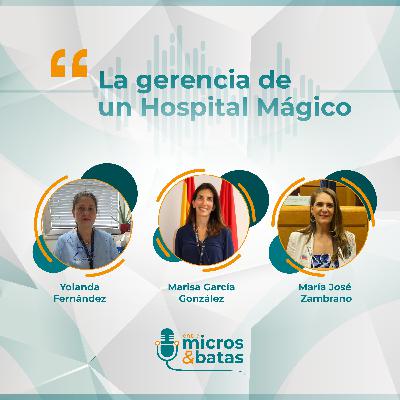 02 - La gerencia de un Hospital Mágico