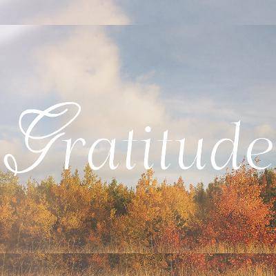 Gratitude | Part II Gratitude | Part II
