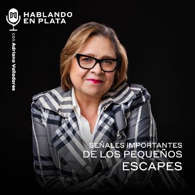 Señales importantes de los pequeños escapes