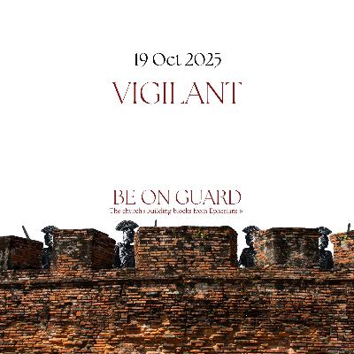 VIGILANT VIGILANT