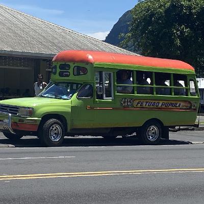 Turkeytail och paddor. Turkeytail och paddor.