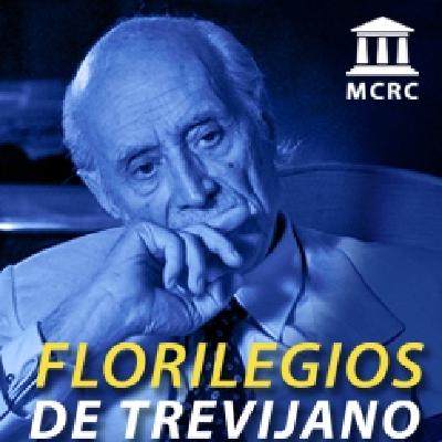 El motor de la corrupción