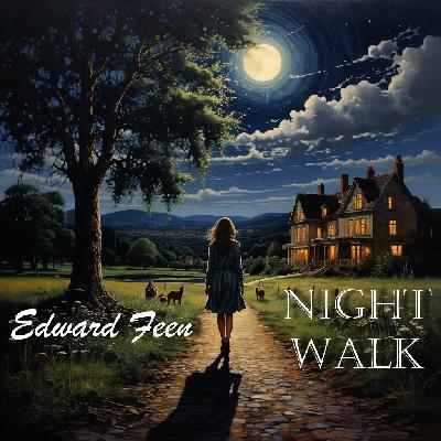 Edward Feen - Night walk.