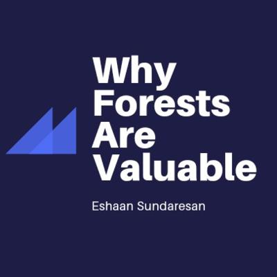Why Are Forests so Valuable By Eshaan Sundaresan