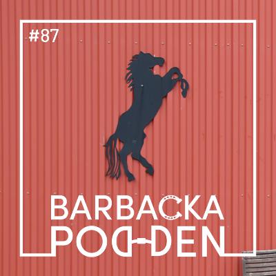 Halvklassiker och ridskolor Halvklassiker och ridskolor