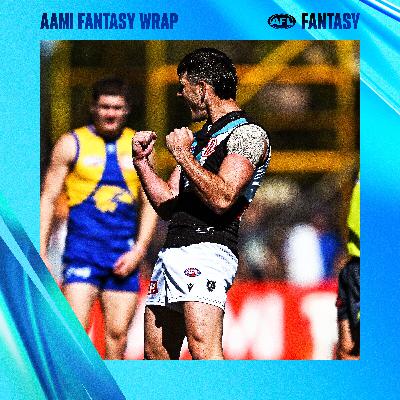 AFL Fantasy wrap of the AAMI Community Series