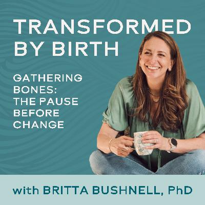 Gathering Bones: The Pause Before Change
