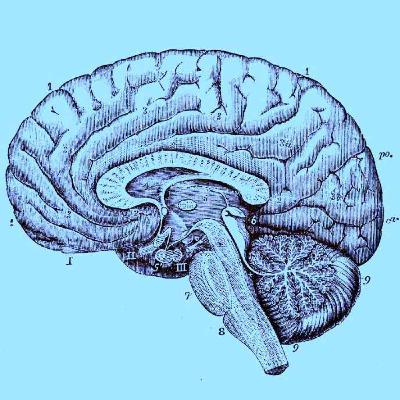 193: Food for Thought pt. 2