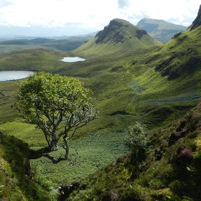 Allowing The Problem Solving To Rest