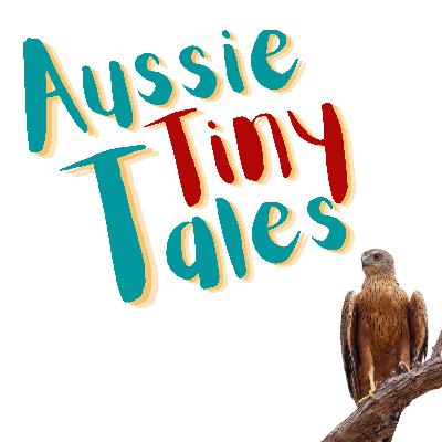 Episode 74: the rare red goshawk 🐦