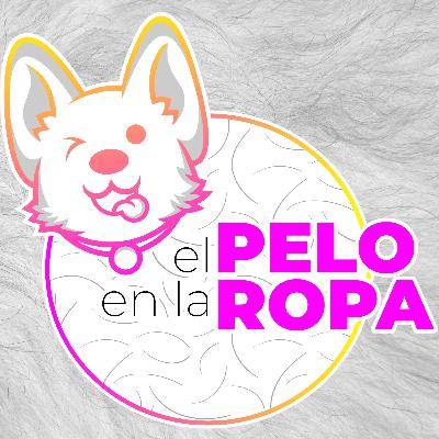 Episodio 08 - Construyendo un Mundo Pet Friendly Parte 2 - ft Paco Colmenares Episodio 08 - Construyendo un Mundo Pet Friendly Parte 2 - ft Paco Colmenares