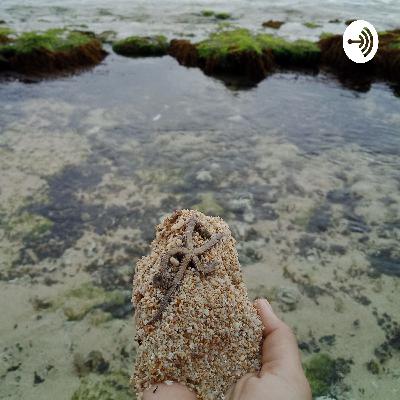 Tentang keberadaanku yang selalu samar.