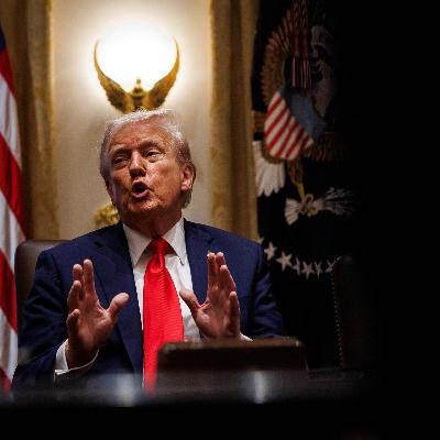 Die USA unter Trump - Wird die US-Demokratie zur Autokratie?