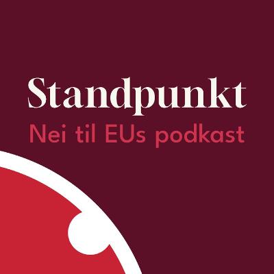 Standpunkt: Hva er EUs nettpakke?