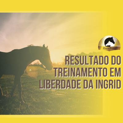 Compartilhando os resultados do Treinamento em Liberdade part. Ingrid Rodrigues | Haras Stone #21